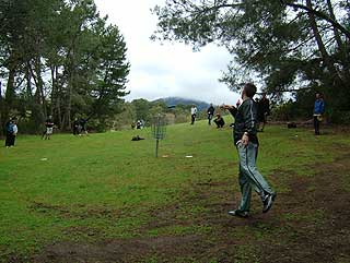 Disc Golf New Zealand